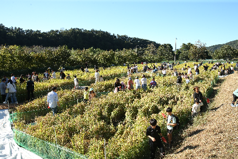 와푸 1일차 (154).JPG