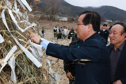 상관면 달짚태우기 (37).JPG