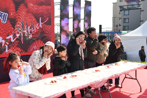 삼례딸기축제 (88).JPG