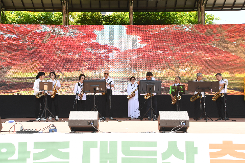 대둔산축제 (20).JPG