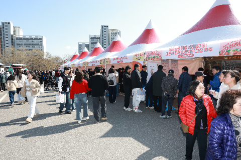 삼례 딸기축제 (40).JPG