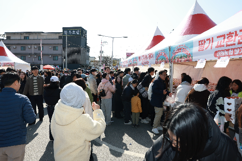 삼례 딸기축제 (44).JPG
