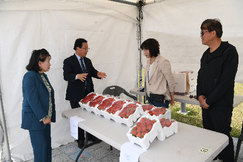 웰니스 축제 (1).JPG