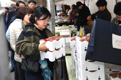 동상 고로쇠 축제 (50).JPG