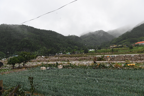 운주 수해현장 (49).JPG