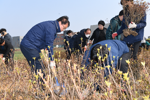 식목일 기념 나무심기 행사 (48).JPG