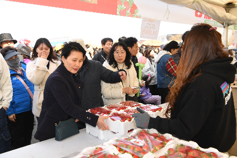 삼례딸기축제 (51).JPG
