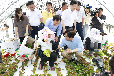 8.8 고용노동부장관 외국인 근로현장방문 (28).jpg