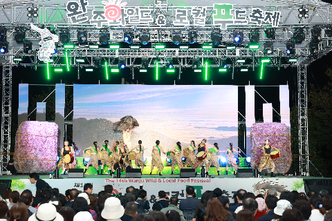 와푸 개막식 (18).JPG