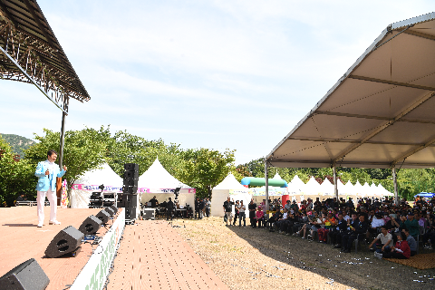 대둔산축제 (58).JPG