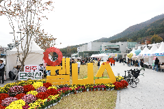 모악산 웰니스 축제