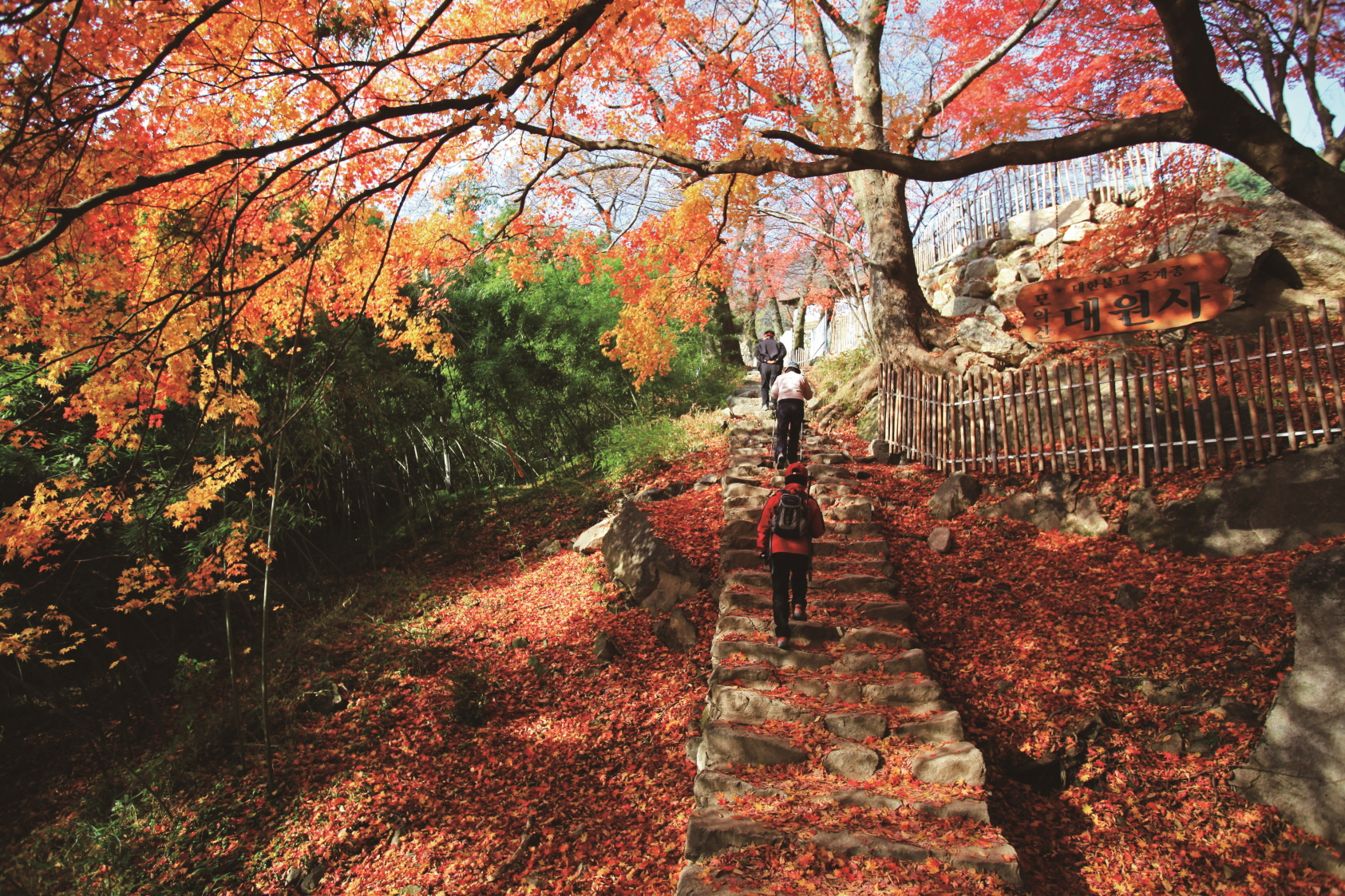 모악산도립공원(1).JPG