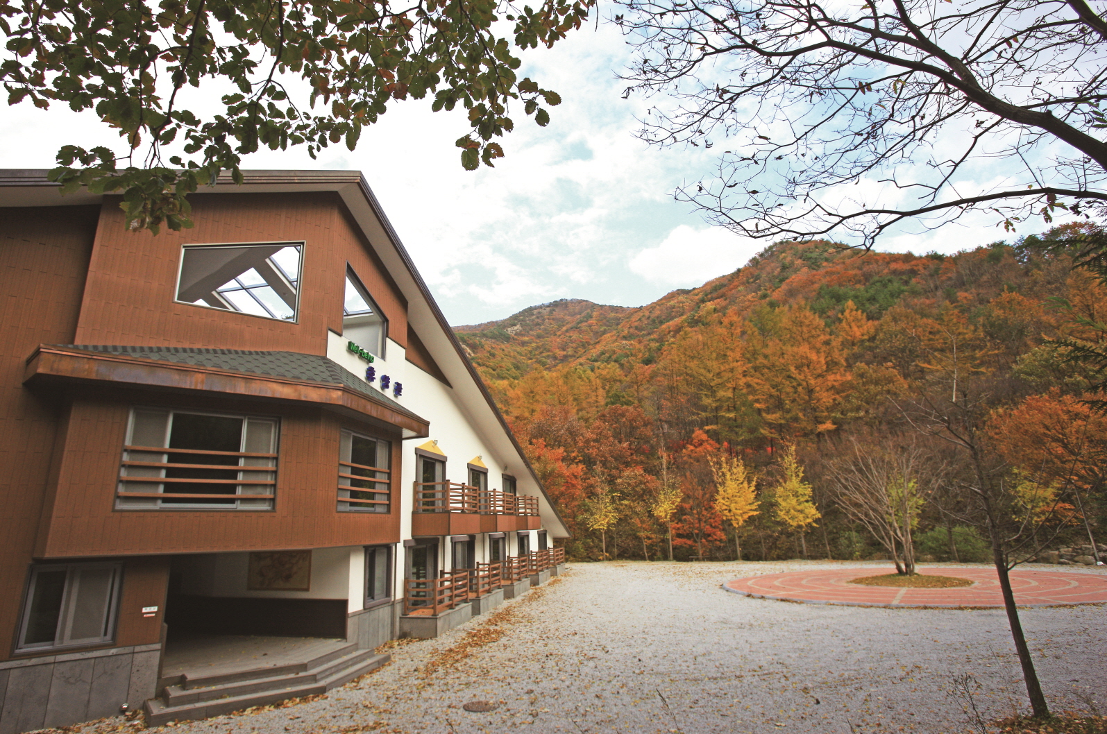 고산자연휴양림(1).JPG