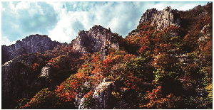 대둔산도립공원(9).jpg