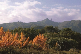 모악산도립공원(2).jpg