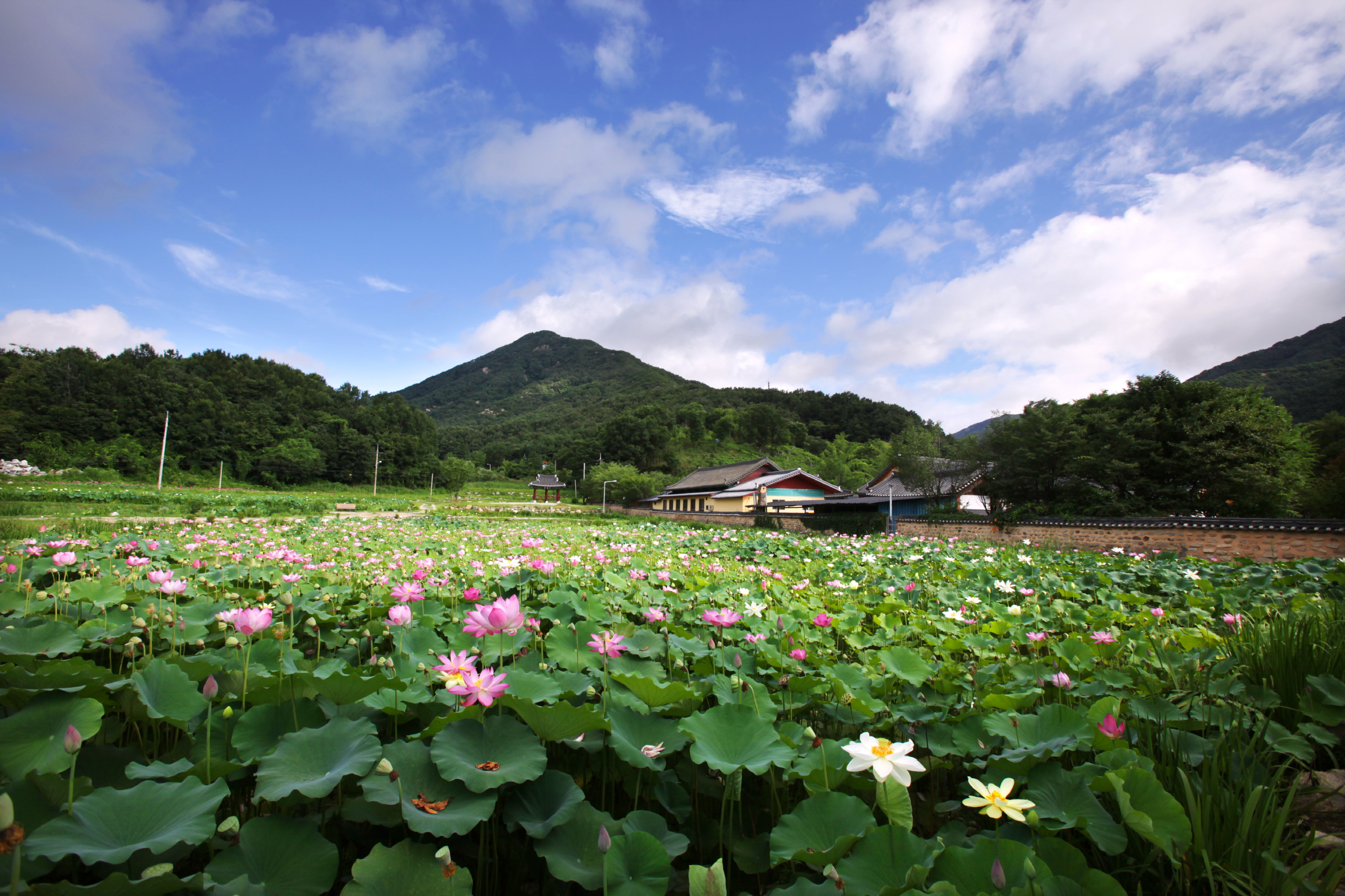 종남산1.JPG