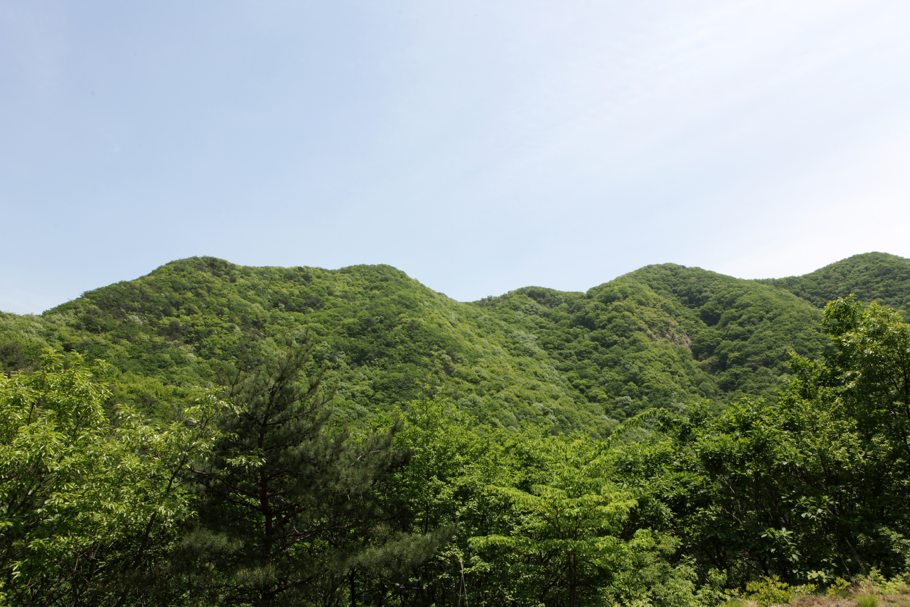 불명산3.JPG