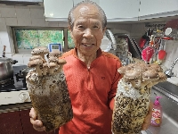 완주지역자활센터, 어르신 대상 표고버섯 키우기 활동
