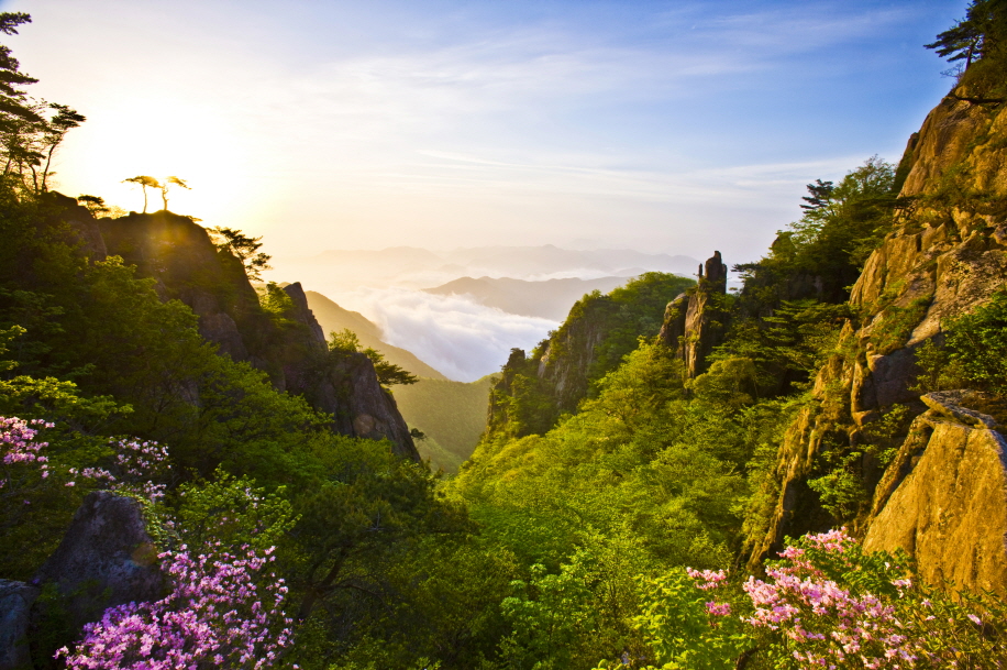 대둔산