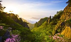 대둔산
