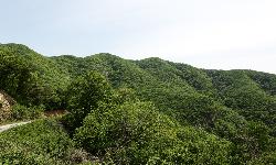 불명산