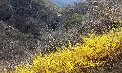 위봉산