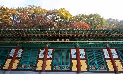 원등사