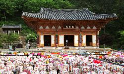 정수사
