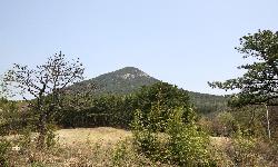 학림사