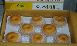 이서 신고배
