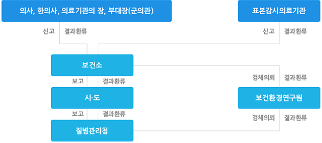 감염병 신고·보고체계