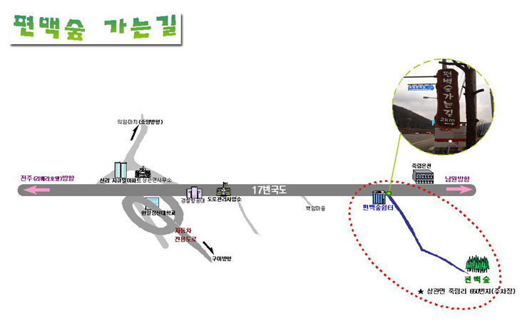 편백숲 가는길 약도