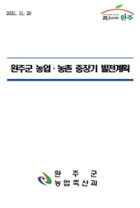 정보화발전전략파일