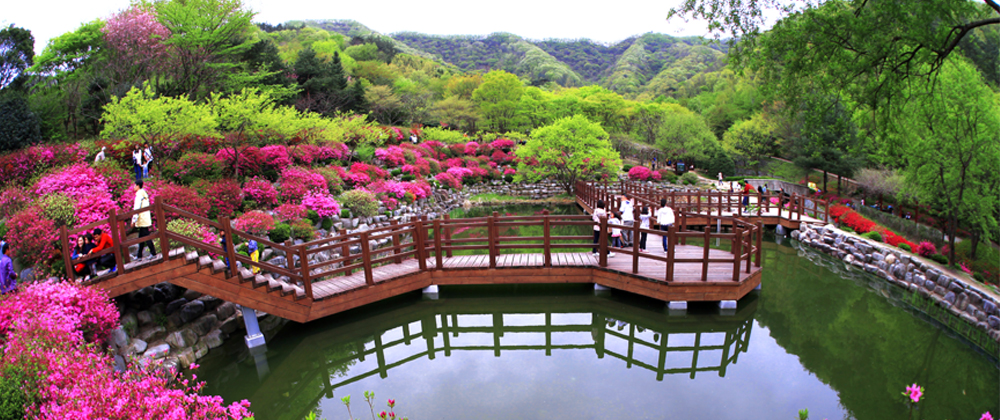 연못